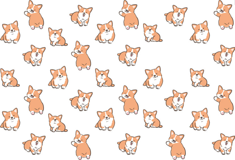 Corgi