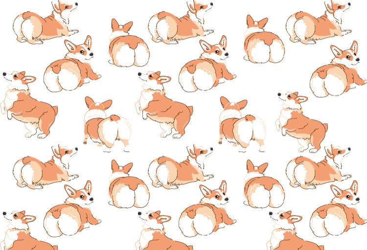 Corgi