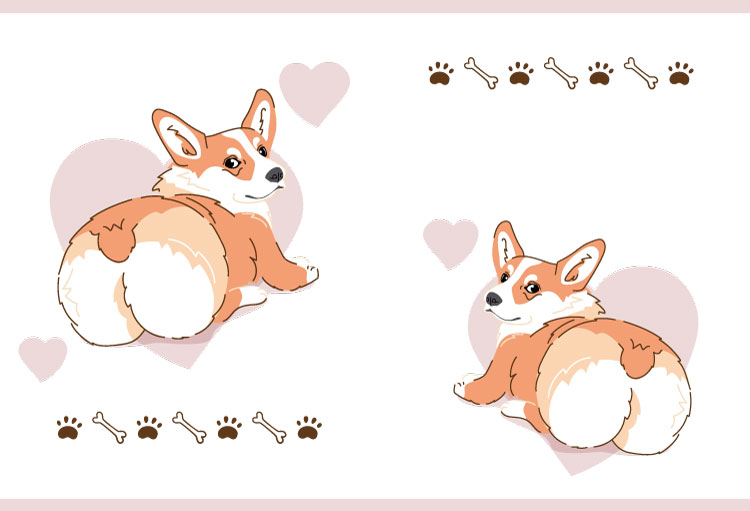 Corgi