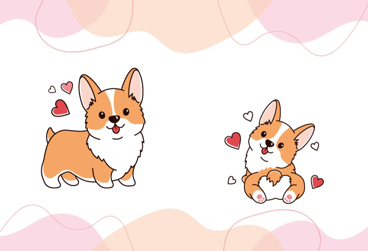 Corgi